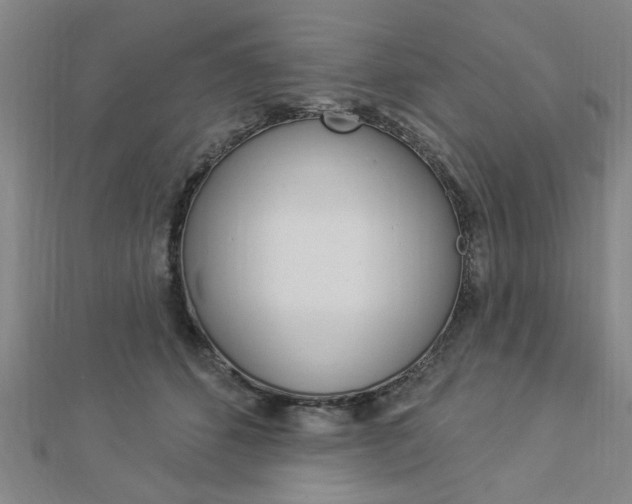 X0000112980512200908270921