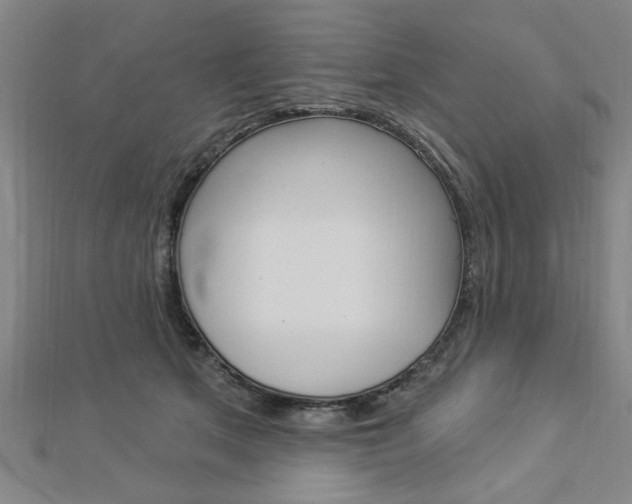 X0000112980513200908270921
