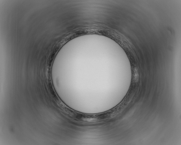 X0000112980514200908270921