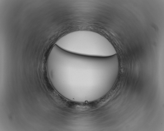X0000112980515200908270921