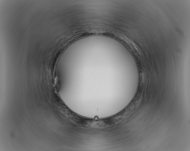 X0000112980517200908270921