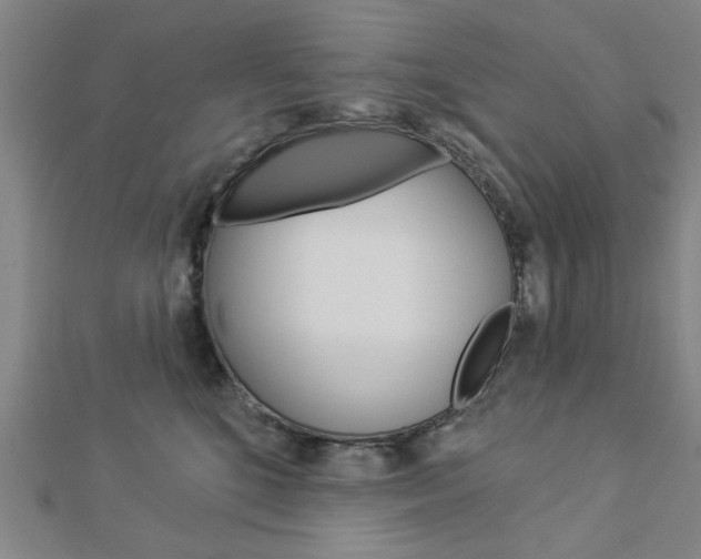 X0000112980520200908270921
