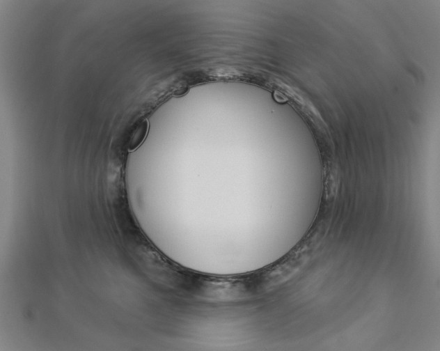 X0000112980521200908270921