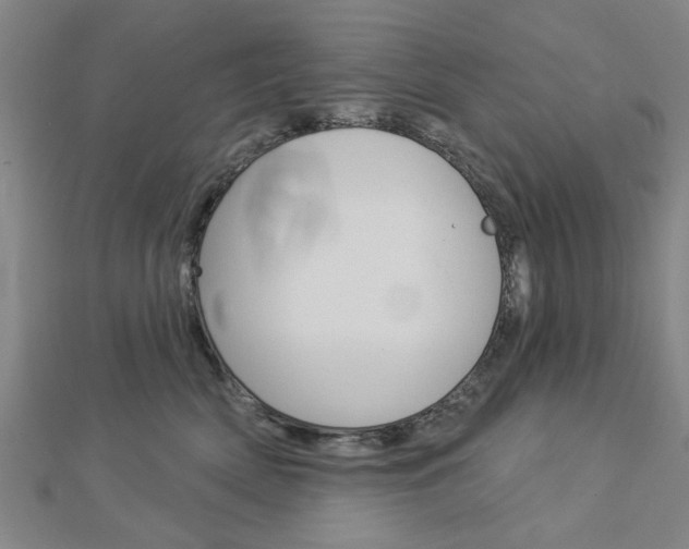 X0000112980522200908270921