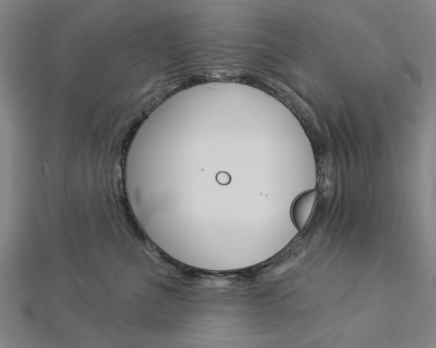X0000112980523200908270921