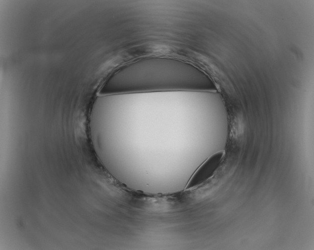 X0000112980524200908270921
