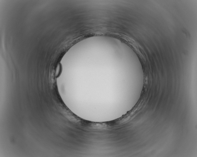 X0000112980525200908270921