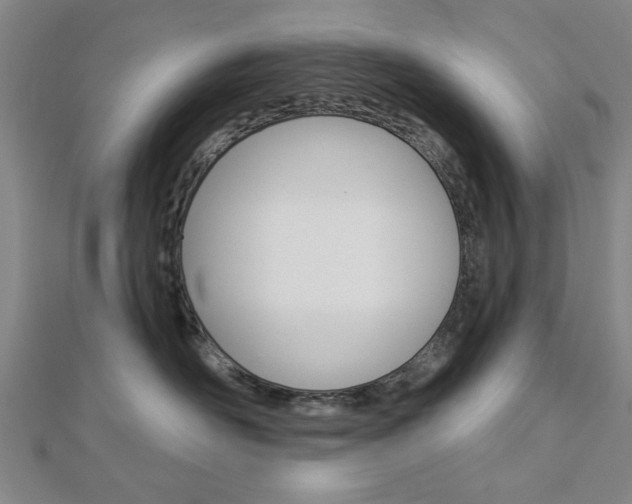 X0000112980526200908270921