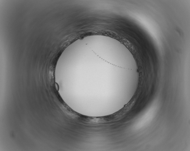 X0000112980527200908270921