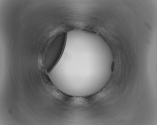 X0000112980528200908270921