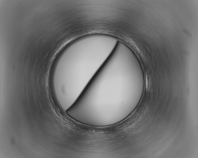 X0000112980531200908270920