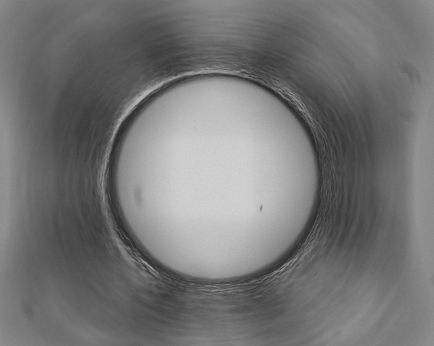 X0000112980532200908270920