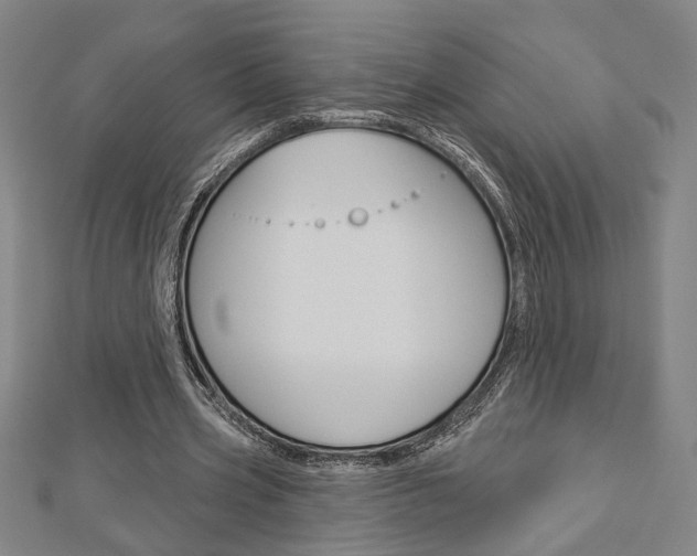 X0000112980533200908270920