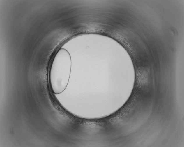 X0000112980534200908270920