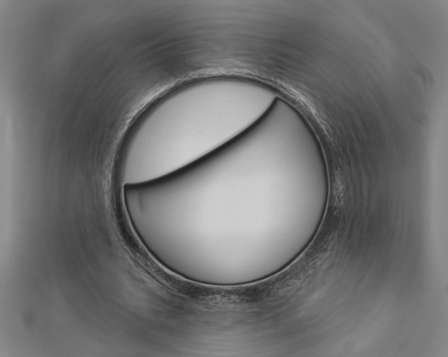 X0000112980535200908270920