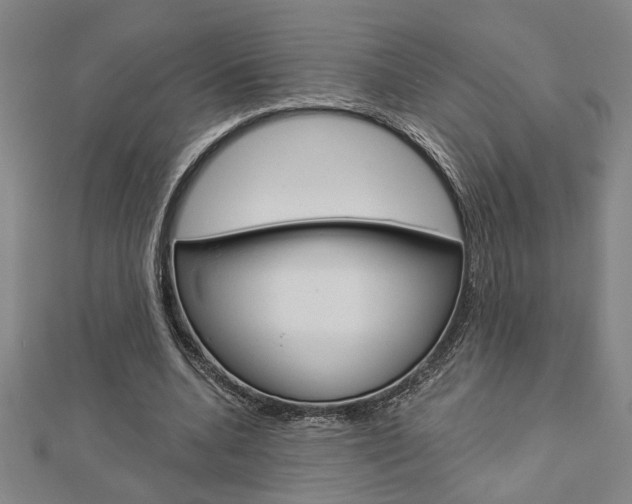 X0000112980536200908270920