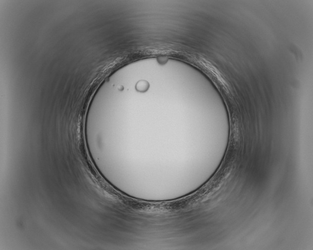 X0000112980537200908270920
