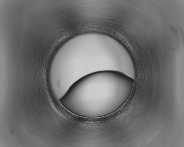 X0000112980538200908270920