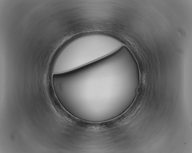X0000112980540200908270920
