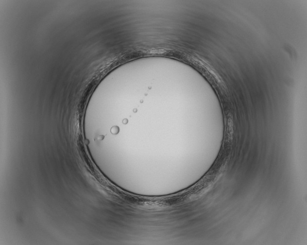X0000112980541200908270920
