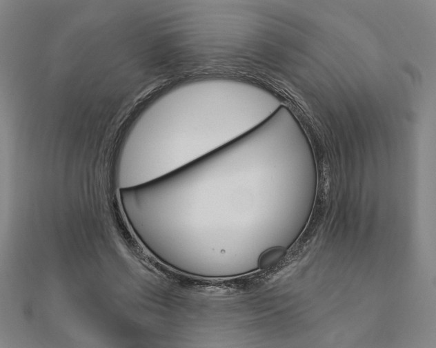 X0000112980542200908270921