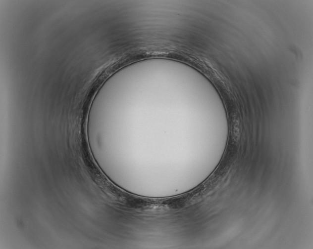 X0000112980543200908270921