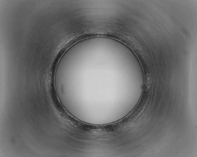 X0000112980544200908270921