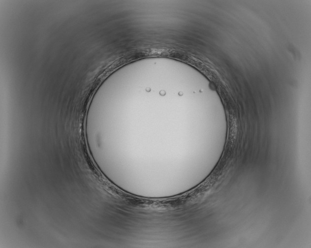 X0000112980545200908270921