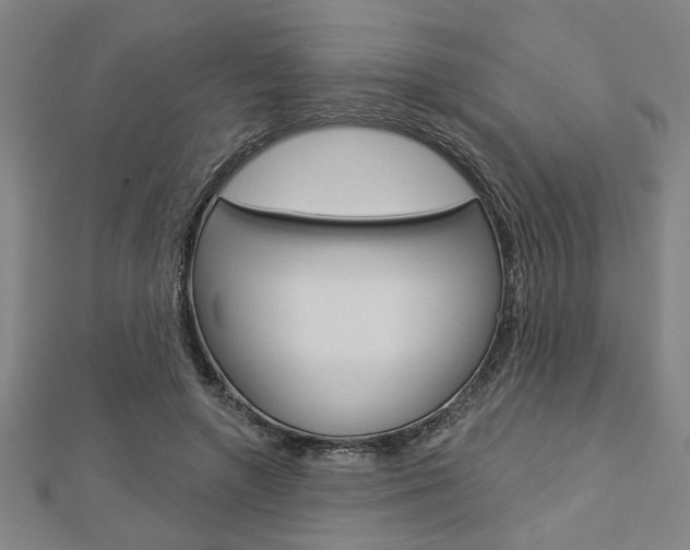 X0000112980546200908270921