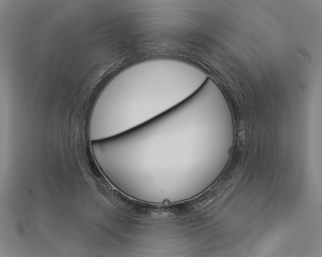 X0000112980547200908270921