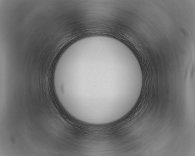 X0000112980548200908270921