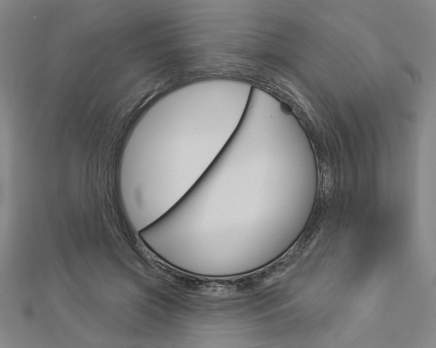X0000112980549200908270921