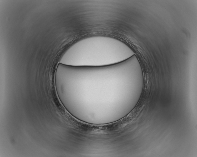X0000112980550200908270921