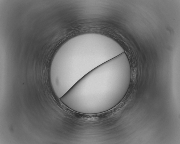 X0000112980553200908270921