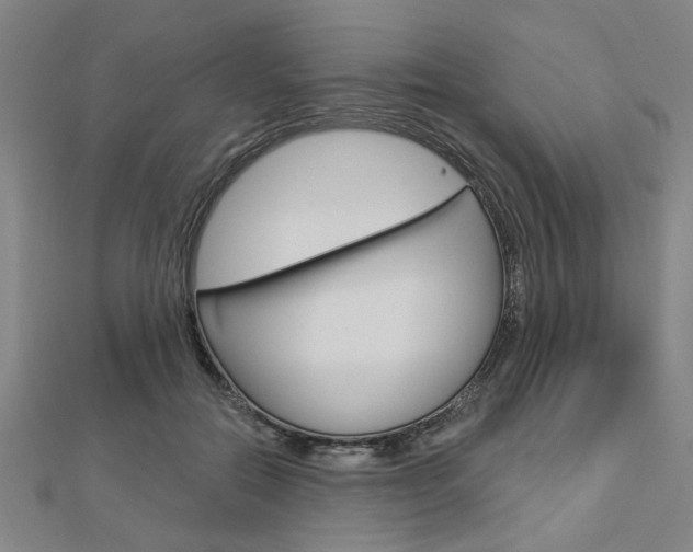 X0000112980554200908270921