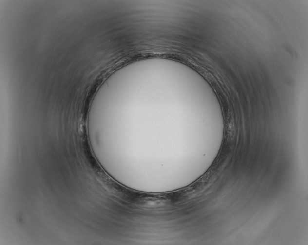 X0000112980555200908270921