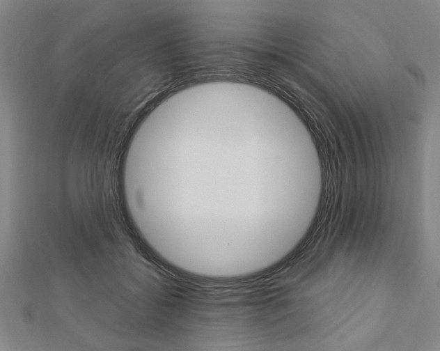 X0000112980556200908270921