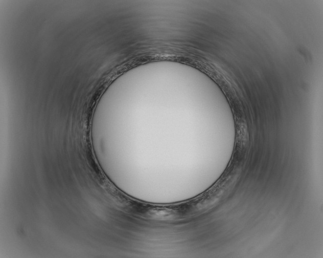 X0000112980557200908270921