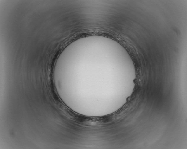 X0000112980563200908270921