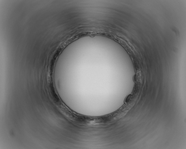 X0000112980564200908270921