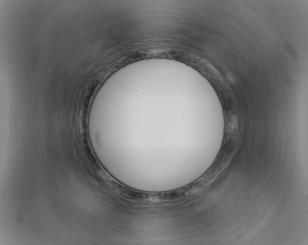 X0000112980565200908270921