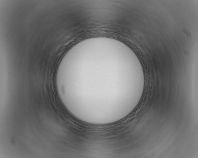 X0000112980566200908270921