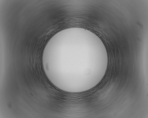 X0000112980570200908270921