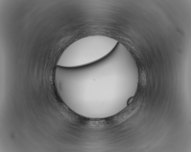 X0000112980571200908270921