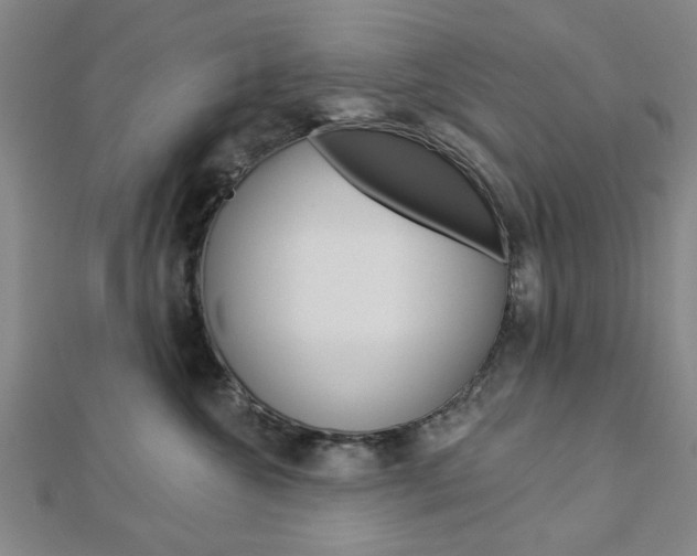 X0000112980572200908270921