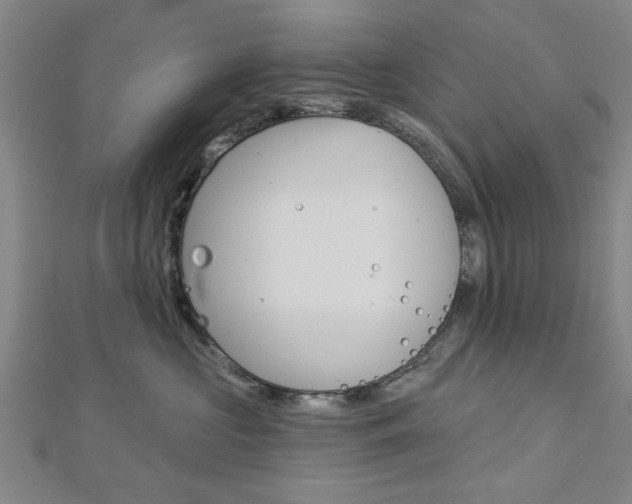 X0000112980573200908270921