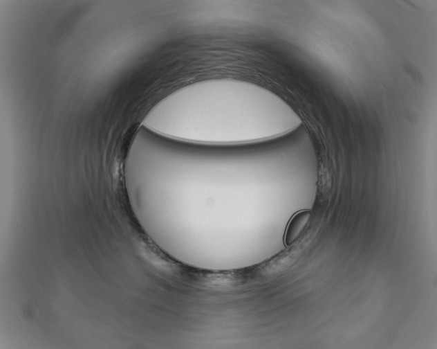 X0000112980574200908270921