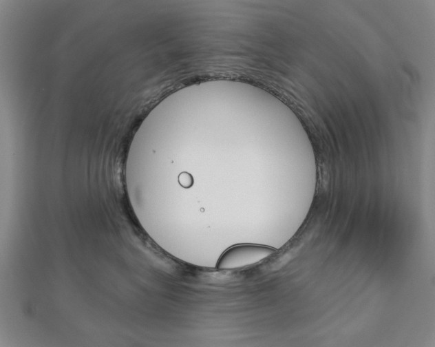 X0000112980575200908270921