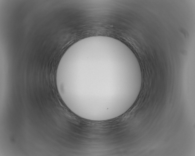 X0000112980576200908270921