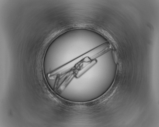 X0000112980577200908270920